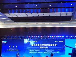 语言桥梁，精准传递——译百翻译的专业之道